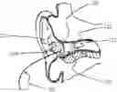 Fig. 01 - Acoustic dampening compensation system