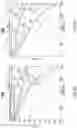 Fig. 10 - Waveguide for smooth off-axis frequency response
