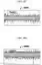 Fig. 11 - SYSTEM AND METHOD FOR DETECTING SOUND IN VEHICLE