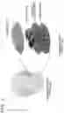 Fig. 02 - Information processing apparatus, control method, and recording medium