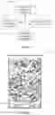 Fig. 09 - Systems, devices, and methods for emergency responses and safety