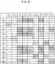 Fig. 22 - Authentication information processing method, authentication information processing device, and non-transitory computer-readable medium