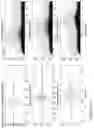 Fig. 08 - Methods and systems relating to ultra wideband transmitters