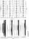 Fig. 12 - Methods and systems relating to ultra wideband transmitters