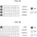 Fig. 06 - System information scheduling in machine type communication