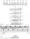 Fig. 06 - Search process for physical downlink control channels in a communication system