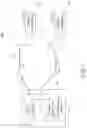 Fig. 02 - Extremely high throughput (EHT) multi-band transmission