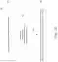 Fig. 11 - Extremely high throughput (EHT) multi-band transmission