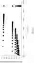 Fig. 74 - Light source apparatus and display apparatus
