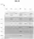 Fig. 16 - Risk-adjusted hybrid seed selection and crop yield optimization by field