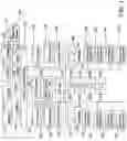Fig. 02 - Methods for pruning fruit plants