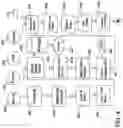 Fig. 05 - Methods for pruning fruit plants