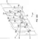 Fig. 18 - Methods for pruning fruit plants