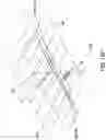 Fig. 20 - Methods for pruning fruit plants