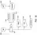 Fig. 23 - Methods for pruning fruit plants