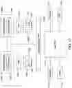 Fig. 25 - Methods for pruning fruit plants