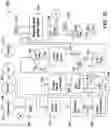 Fig. 30 - Methods for pruning fruit plants