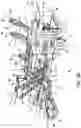 Fig. 36 - Methods for pruning fruit plants
