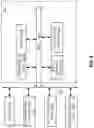 Fig. 07 - Capture of ground truthed labels of plant traits method and system