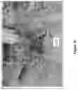 Fig. 05 - Vine growing management method and apparatus with autonomous vehicles
