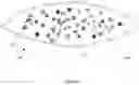Fig. 06 - ARTICLE FOR ENRICHING SOIL FERTILITY