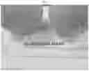 Fig. 04 - Melon variety NUN 76207 MEM
