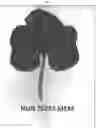 Fig. 02 - Melon variety NUN 76267 MEM