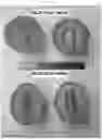 Fig. 05 - Melon variety NUN 76307 MEM
