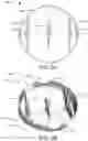 Fig. 06 - Pest resistant birdfeeder
