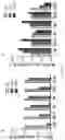Fig. 05 - Genetically engineered non-human mammal, construction method therefor and use thereof