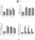 Fig. 08 - Genetically engineered non-human mammal, construction method therefor and use thereof