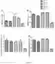 Fig. 13 - Genetically engineered non-human mammal, construction method therefor and use thereof