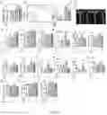 Fig. 14 - Genetically engineered non-human mammal, construction method therefor and use thereof