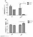 Fig. 15 - Genetically engineered non-human mammal, construction method therefor and use thereof