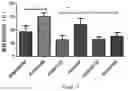 Fig. 16 - Genetically engineered non-human mammal, construction method therefor and use thereof