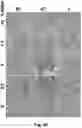 Fig. 10 - CRYOPRESERVATION METHOD OF BIOLOGICAL SPECIMEN