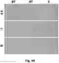 Fig. 11 - CRYOPRESERVATION METHOD OF BIOLOGICAL SPECIMEN