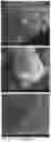 Fig. 02 - Nitrite microencapsulation, and uses of microencapsulated nitrite in the manufacture of pest baits