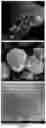 Fig. 06 - Nitrite microencapsulation, and uses of microencapsulated nitrite in the manufacture of pest baits
