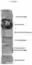 Fig. 03 - Antimicrobial compositions and related methods of use