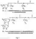 Fig. 10 - Antimicrobial compositions and related methods of use