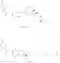 Fig. 29 - Antimicrobial guanidinium and thiouronium functionalized polymers