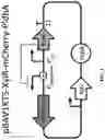 Fig. 02 - ALTERING MICROBIAL POPULATIONS & MODIFYING MICROBIOTA