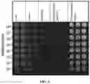 Fig. 04 - ALTERING MICROBIAL POPULATIONS & MODIFYING MICROBIOTA