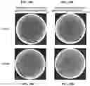 Fig. 13 - ALTERING MICROBIAL POPULATIONS & MODIFYING MICROBIOTA