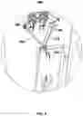 Fig. 07 - Apparatus for processing and grading food articles and related methods
