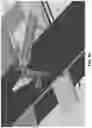 Fig. 29 - Apparatus for processing and grading food articles and related methods