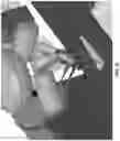 Fig. 30 - Apparatus for processing and grading food articles and related methods