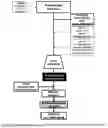 Fig. 07 - Nutritionally Premium Cola Carbonated Soft Drink - Composition, Method of Preparation and Applications