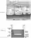 Fig. 02 - Beverage with collagen and additional additives